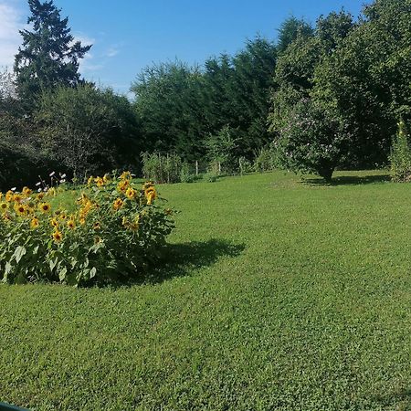 Petite Maison Dans Le Morvan Luzy Kültér fotó